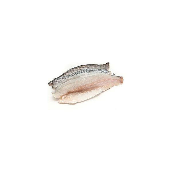 Sea Bass Fillet