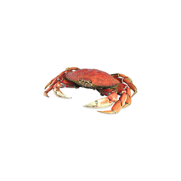 Whole Crab