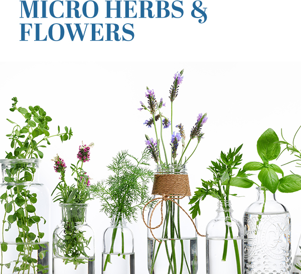 MICRO HERBS & FLOWERS
